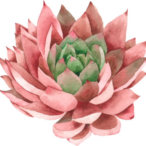 I Deserve It team helping students in Cape Town